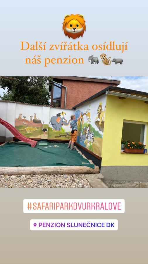 Penzion Slunecnice Dvůr Králové nad Labem Extérieur photo