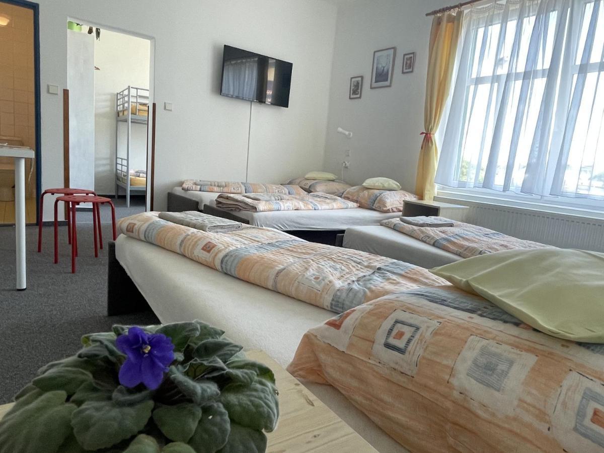 Penzion Slunecnice Dvůr Králové nad Labem Extérieur photo